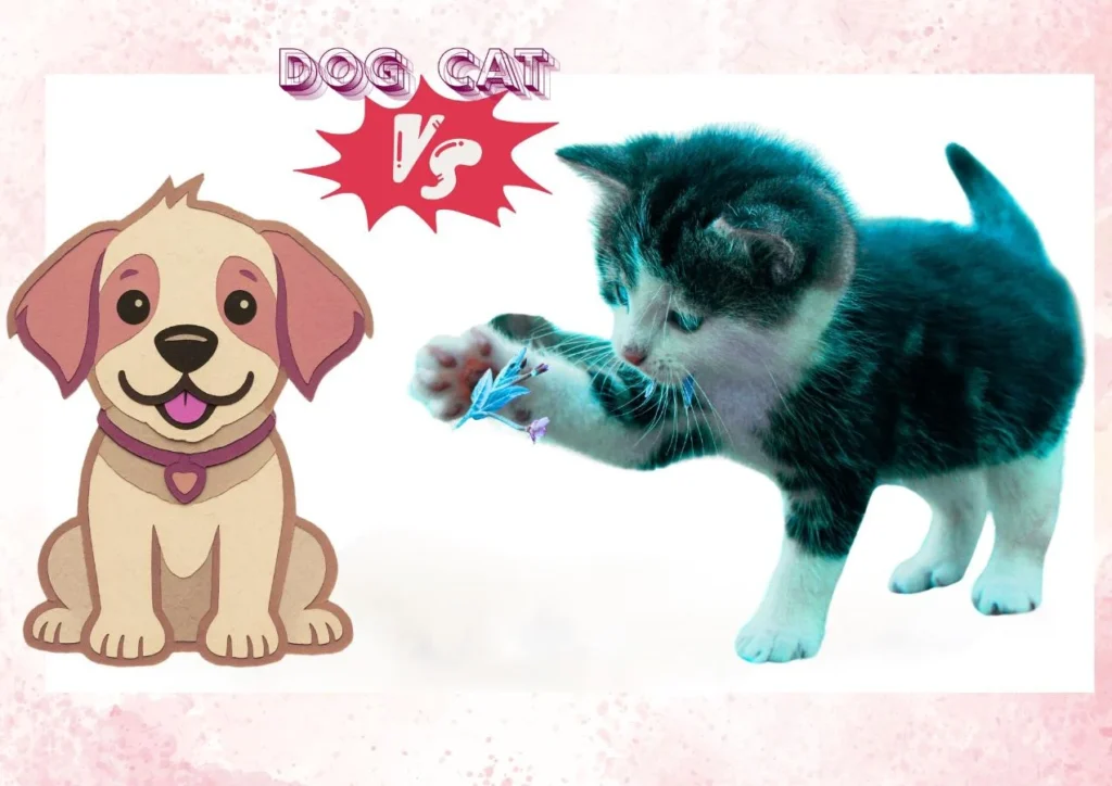 dog or cat